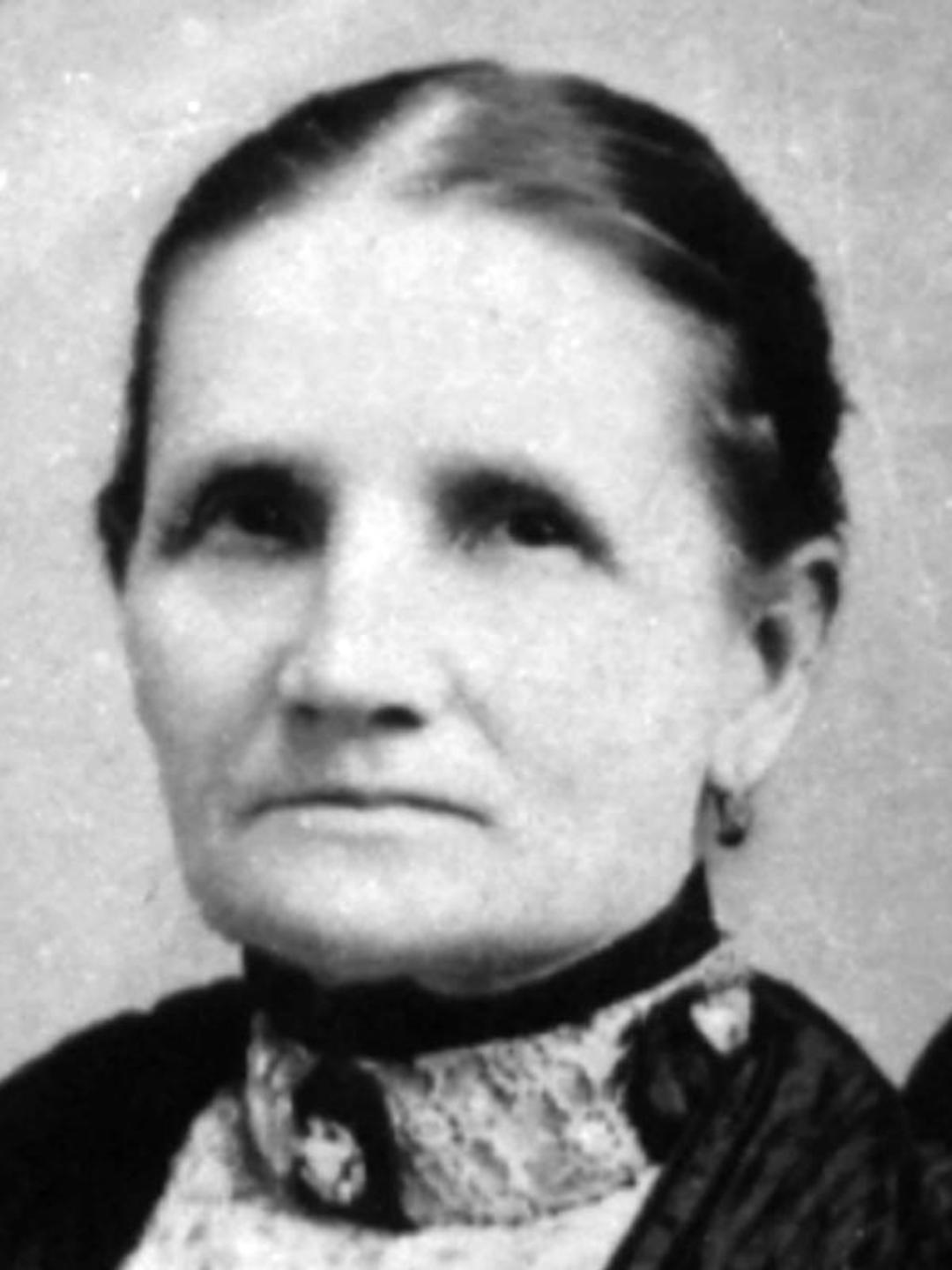 Sarah Elizabeth Butler (1842 - 1920) Profile
